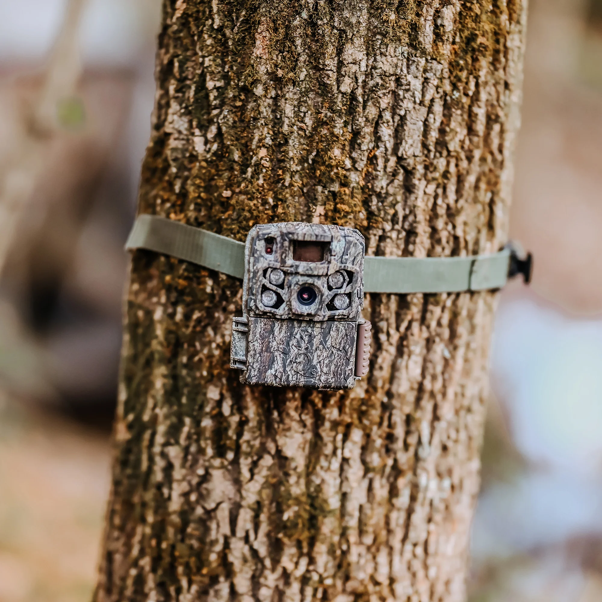 Browning Trail Camera - Strike Force FHDR 40MP Trail Camera - Image 6