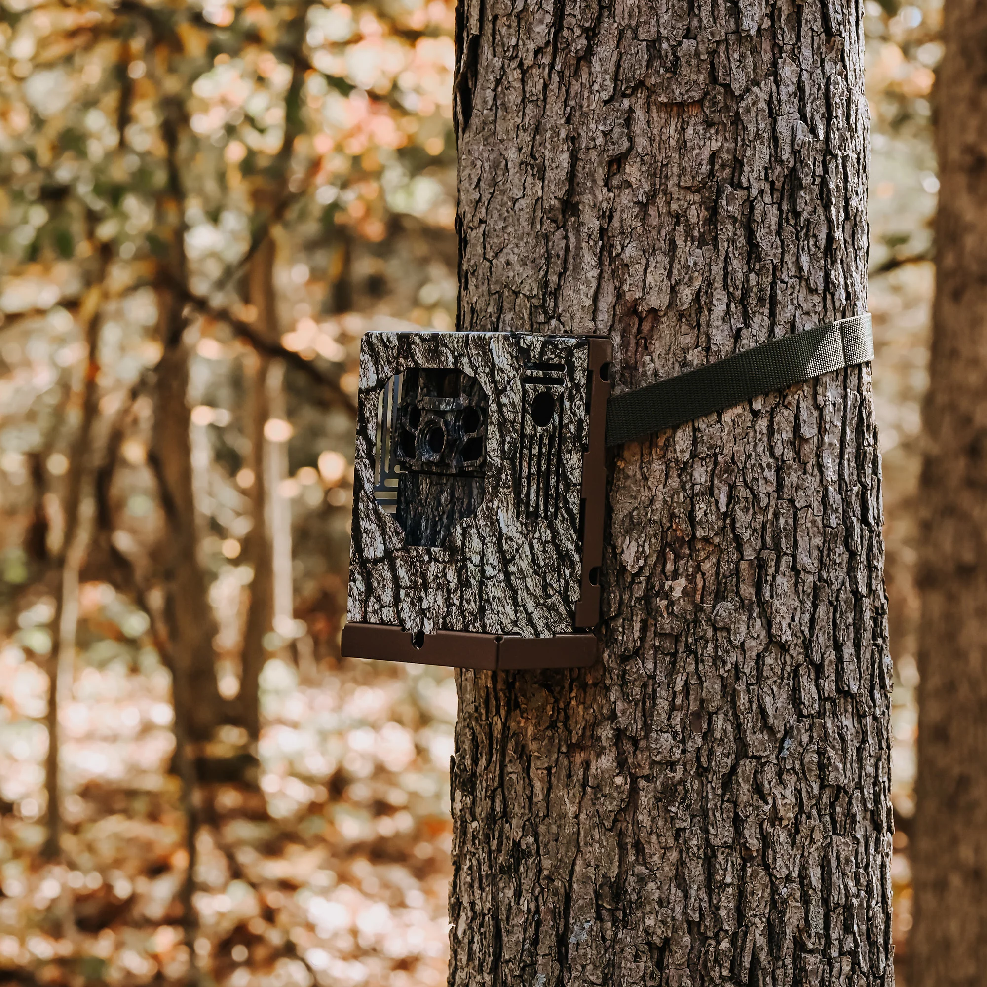 Browning Trail Camera - Dark Ops FHDR 40MP Trail Camera - Image 5