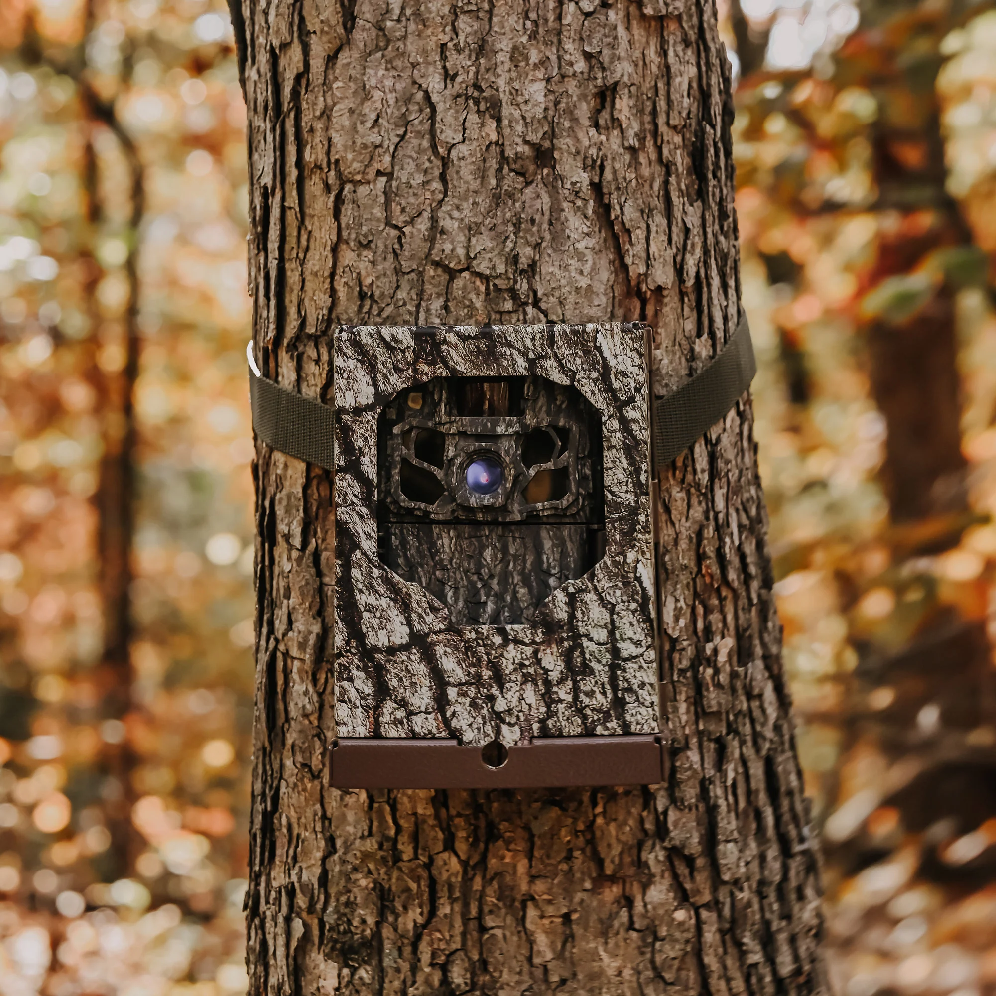 Browning Trail Camera - Dark Ops FHDR 40MP Trail Camera - Image 6