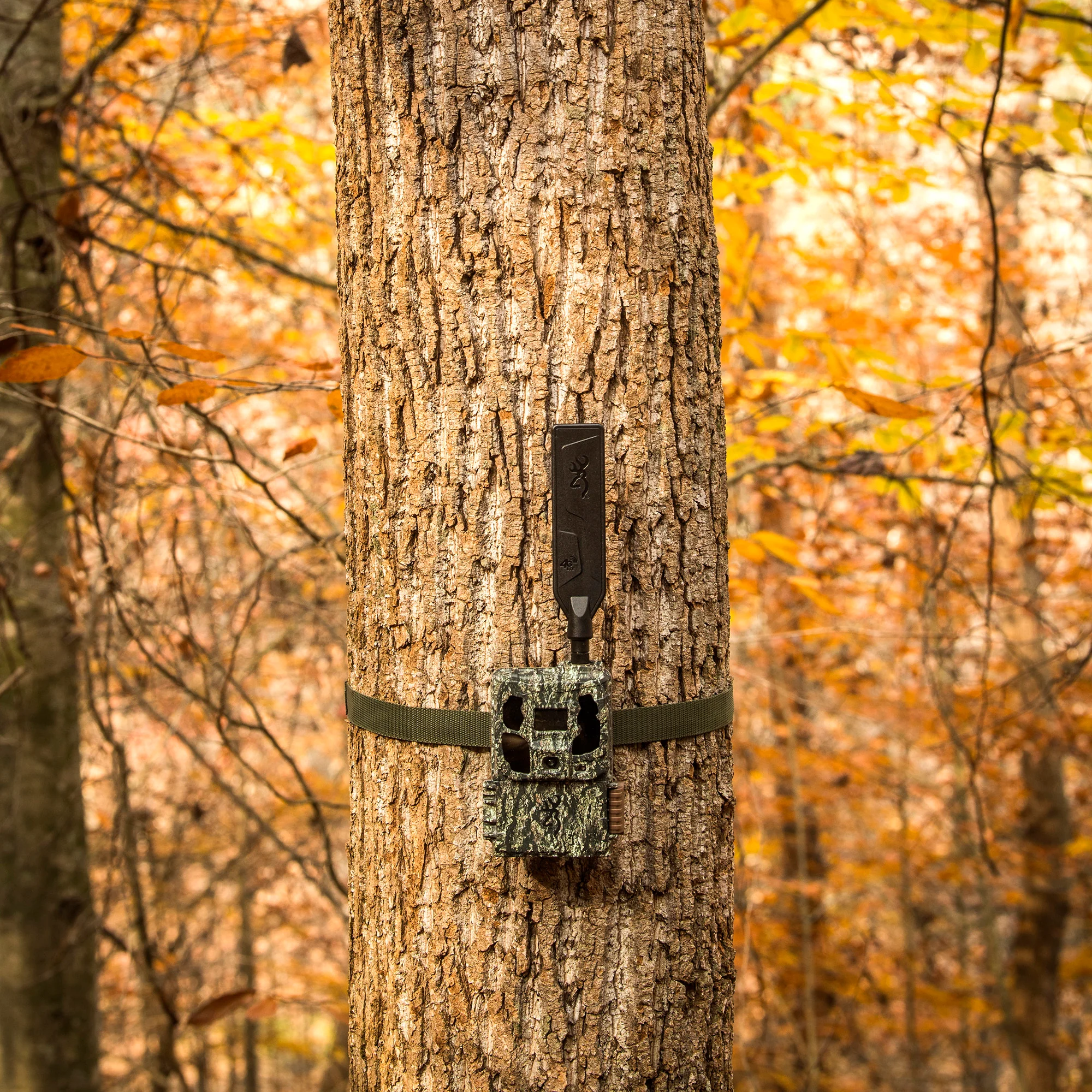 Browning Trail Camera - Defender Wireless Pro Scout Max HD AI 46MP - Image 6
