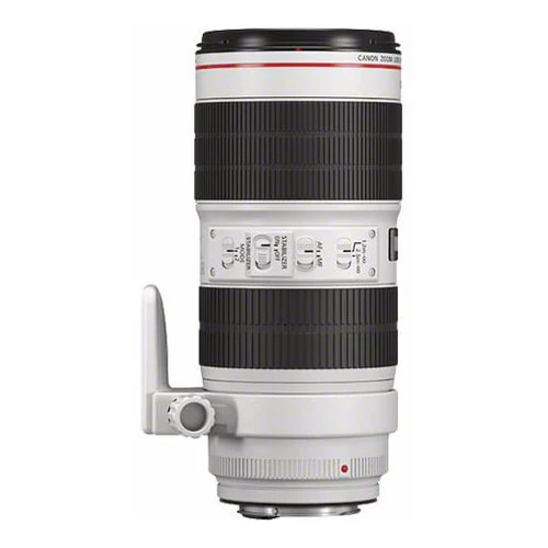 Canon EF 70-200mm f/2.8L IS III USM Lens - Image 4