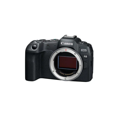 Canon EOS R8 Mirrorless Camera Body (Used) - Image 12