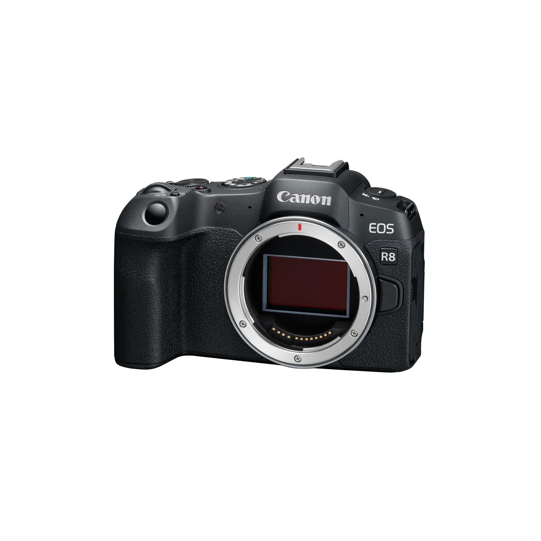Canon EOS R8 Mirrorless Camera Body (Used) - Image 5