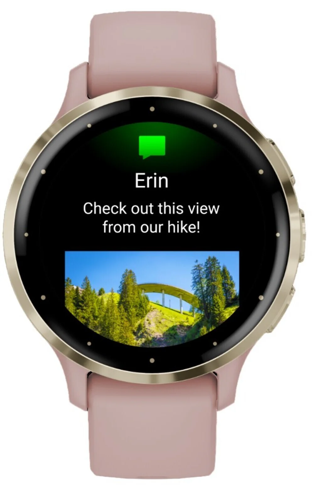 Garmin Venu 3S Soft Gold SS Bezel Smart Watch with 41mm Dust Rose Case and Silicone Band - Image 3