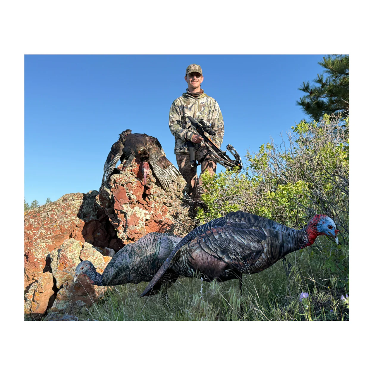 Montana Decoy Miss Purr-Fect XD3 Realistic Turkey Decoy - Image 4