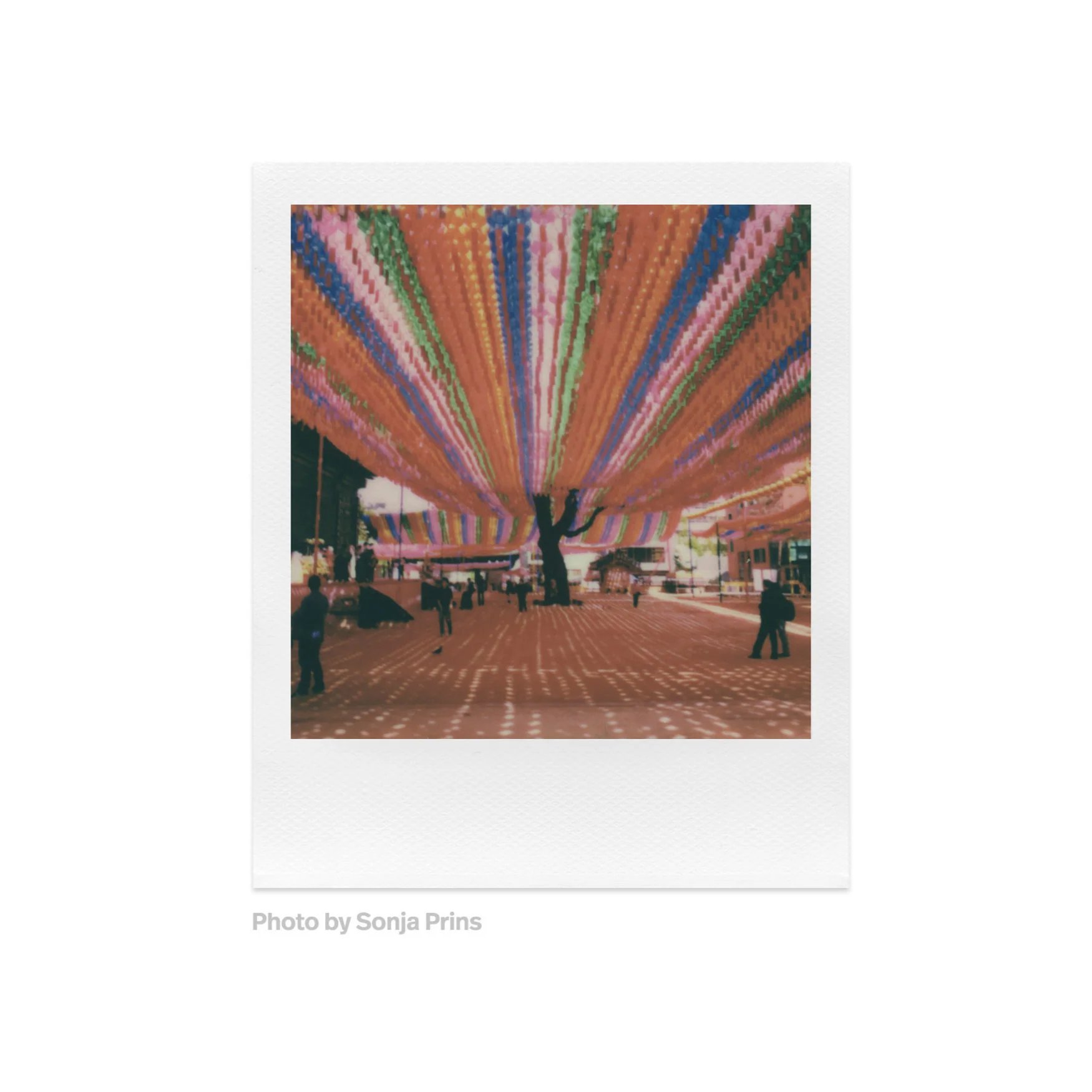 Polaroid Originals Color Instant Film for i-Type Cameras (8 Exposures) - Image 6
