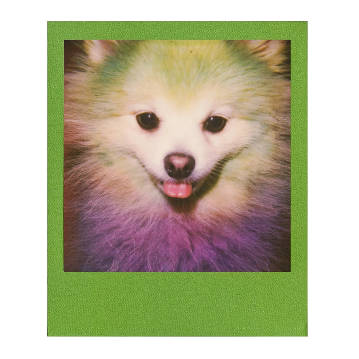 Polaroid Color Film with Color Frames for 600 Cameras - Image 2