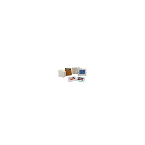 Polaroid Color Film for I-Type (Color Frames Edition, 5-Pack) and Focus Camera Film Kit Bundle - Image 26