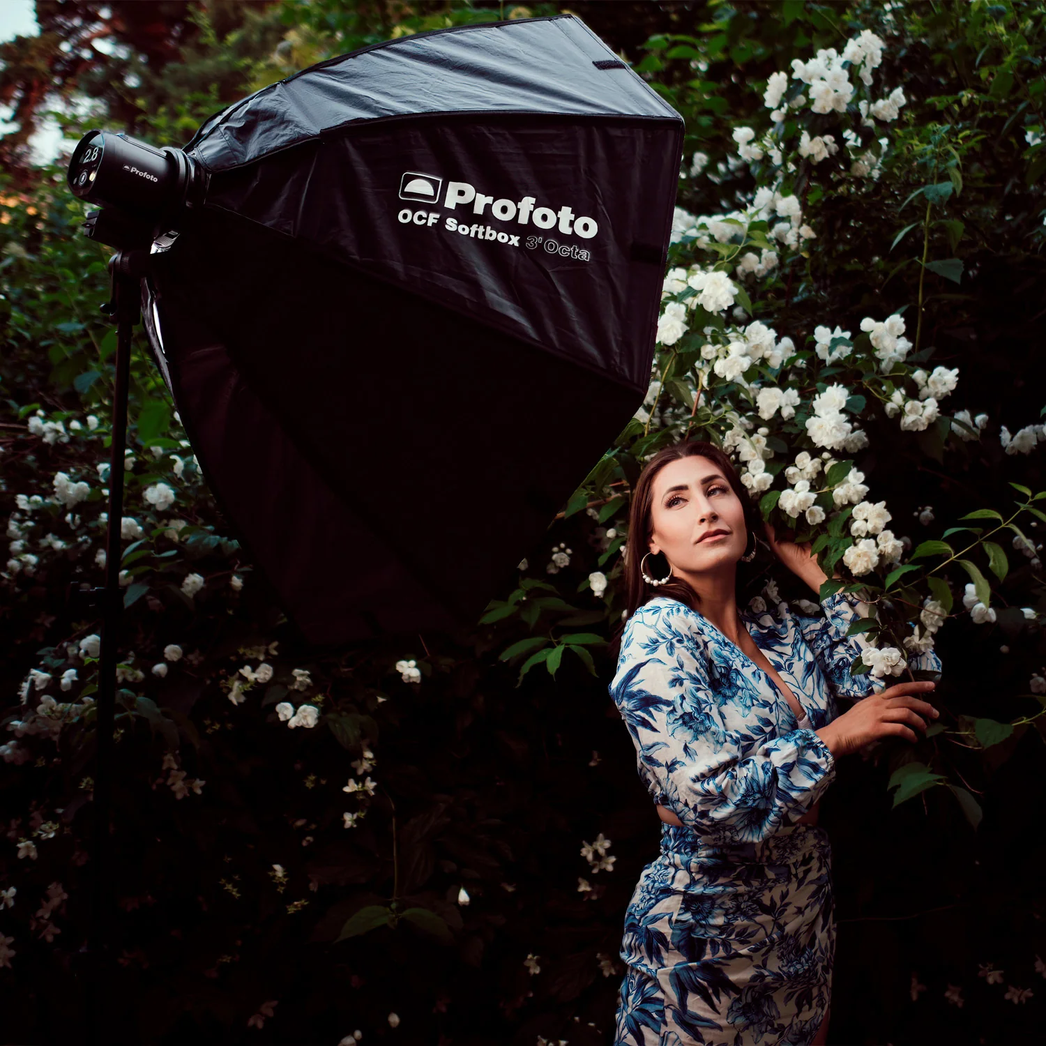Profoto A2 Monolight and Profoto Connect Pro Wireless Transmitter for Sony Camera Bundle - Image 6