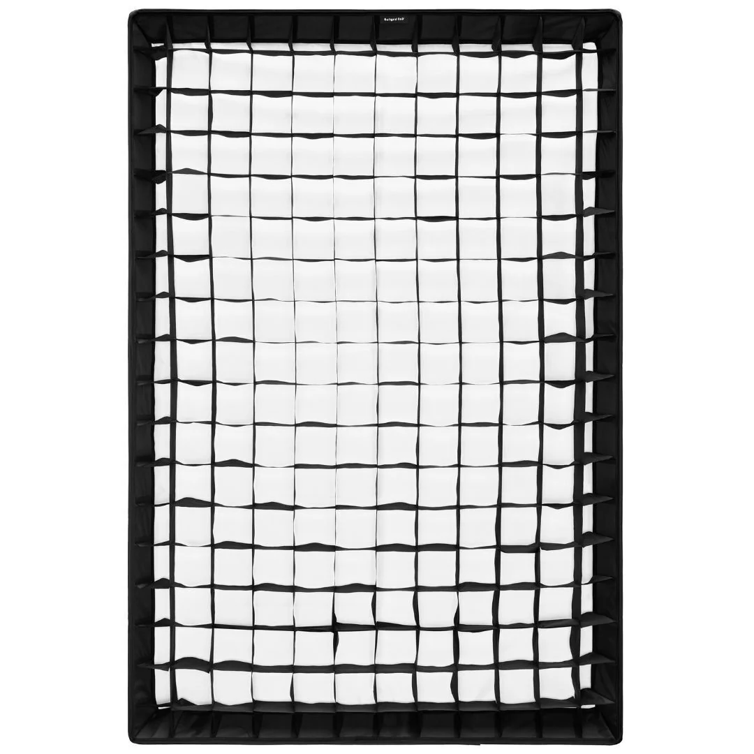 Profoto L600C LED Light Bundle with Rectangular Softbox and Softgrid - Image 4