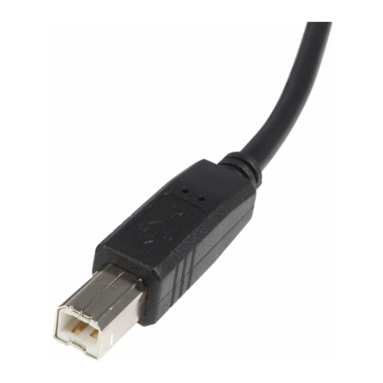 Startech 6-Feet USB 2.0 A to B Male/Male Cable (USB Printer Cable) - Image 3