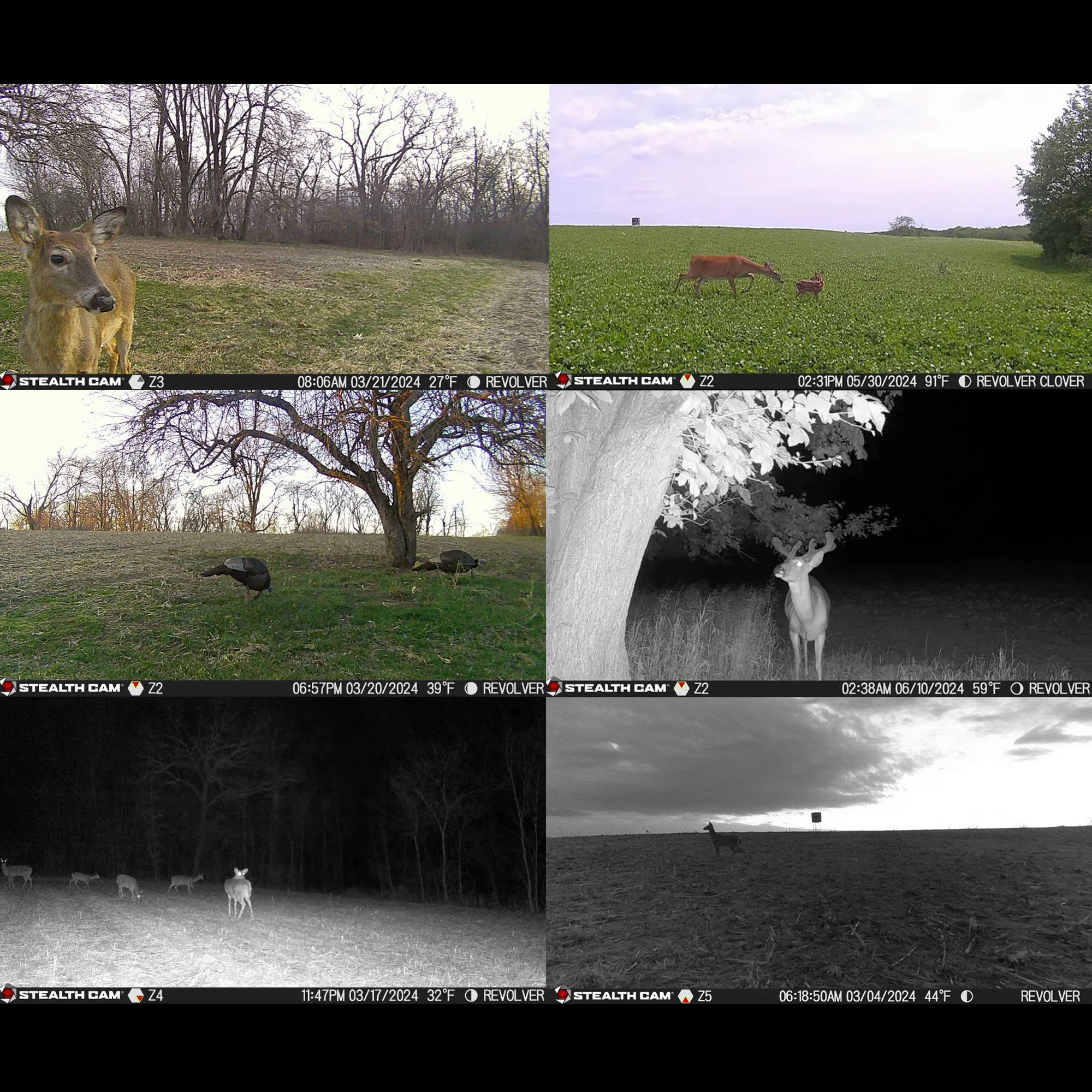 Stealth Cam Revolver 40MP Pro 360 Degree Cellular Trail Camera with 32GB Memory Card and Card Reader - Image 7