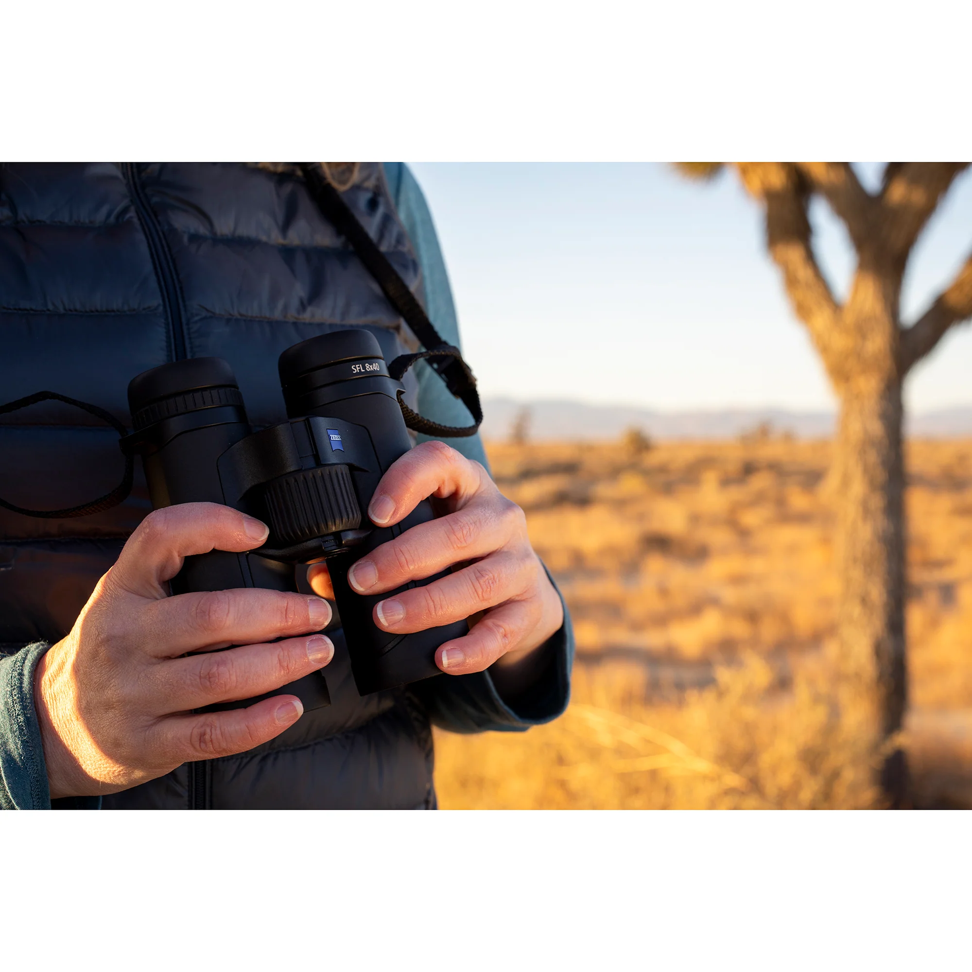 ZEISS SFL 8×40 Binoculars (Used) - Image 10
